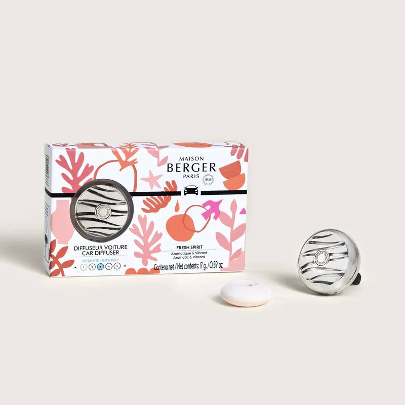 Car Diffuser Kit assorted scents