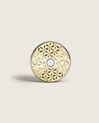 Pomelis Car Diffuser Kit with Vanilla Magnificence