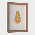 Loden Shadow Box