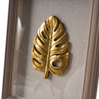 Cutella Shadow Box
