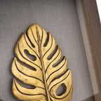 Cutella Shadow Box