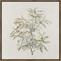 Quiet Botanica II Framed Floral Wall Art