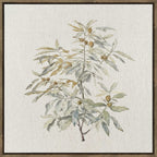 Quiet Botanica II Framed Floral Wall Art