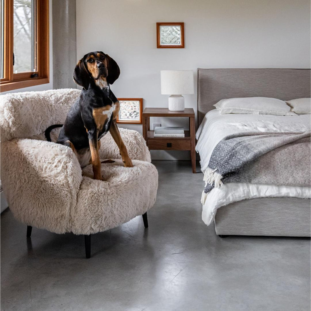 Julia Queen Storage Bed Short - Sand