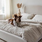 Faye Queen Bed Short - Off White