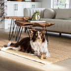 Natura Hairpin Coffee Table