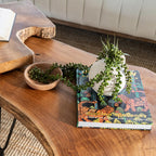 Natura Hairpin Coffee Table