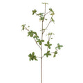 Leaf & Berry Stem 7x31