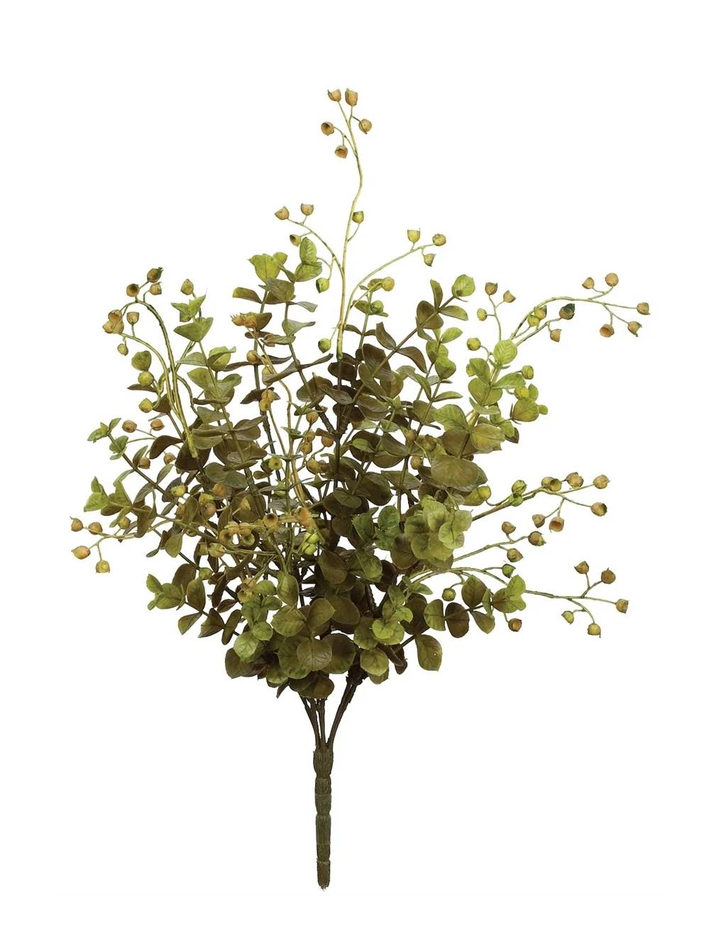 Eucalyptus Plant Pick