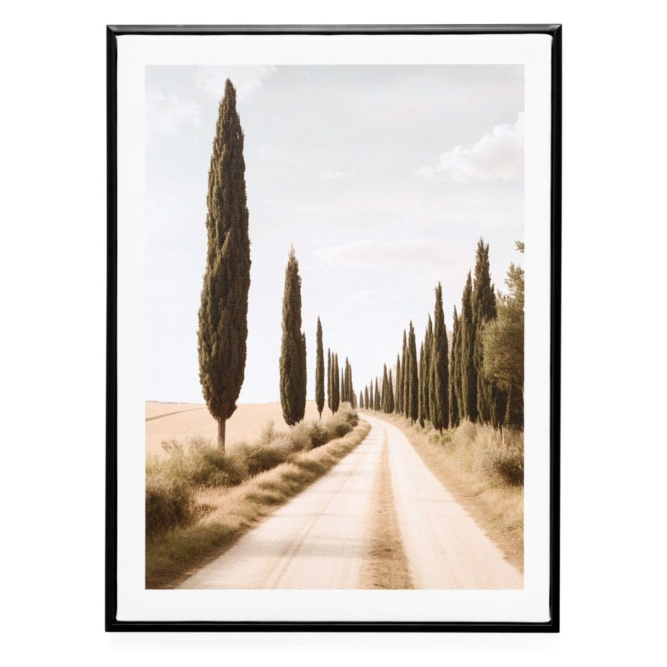 Cypress Path Framed Print 12X16