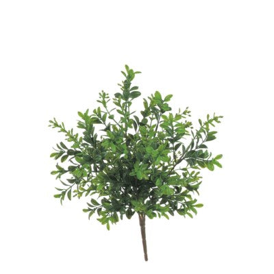 Boxwood Plant Pick