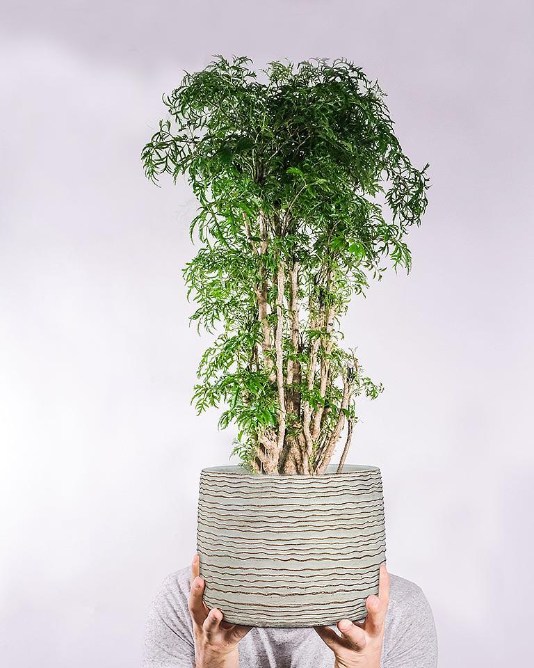 Large Wavy Ripple Planter 5.5H