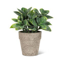Small Spade Leaf Plant Pot