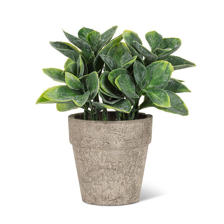 Small Spade Leaf Plant Pot