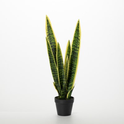 Potted Faux Sansevieria Plant