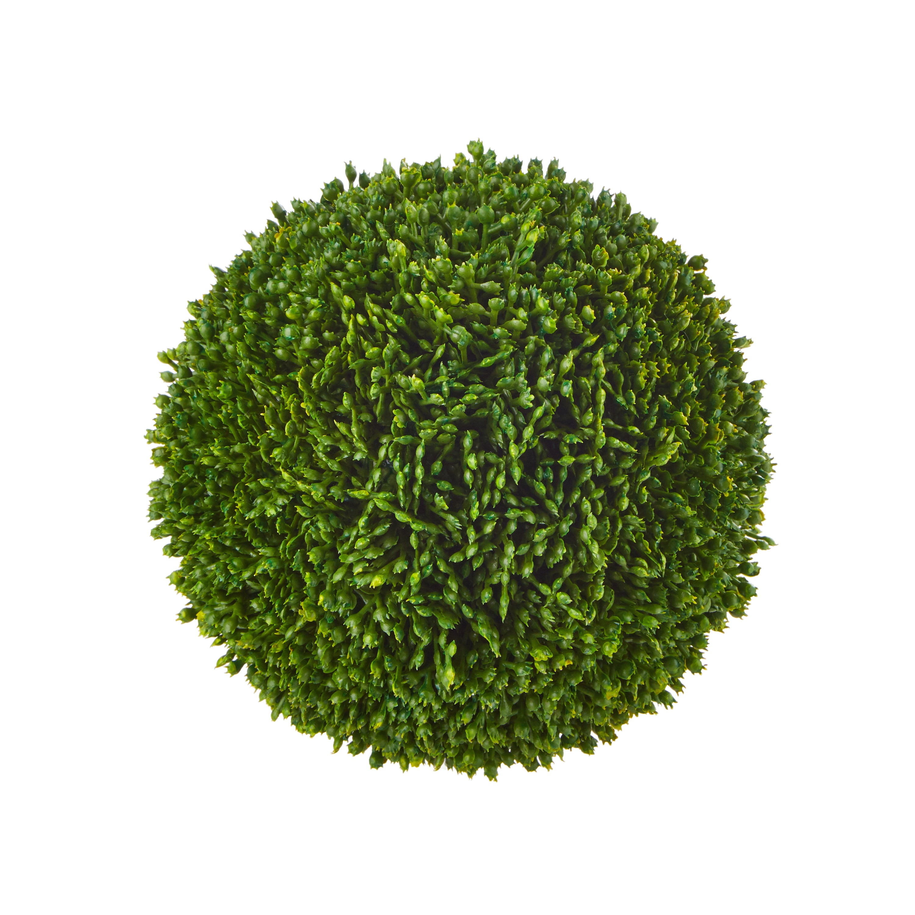 5.5" Sedum ball