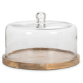 Large Covered Cheese/Cake Dome