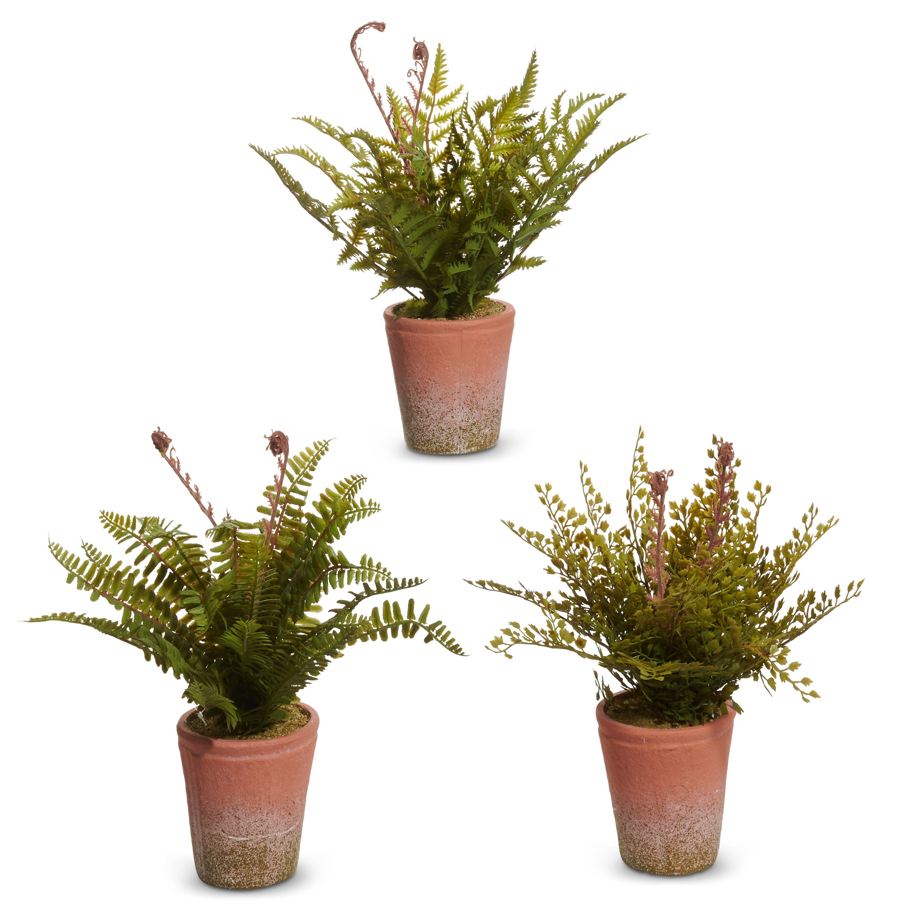 12" Potted Faux Fern in Terracotta Pot