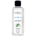 Agaves Garden