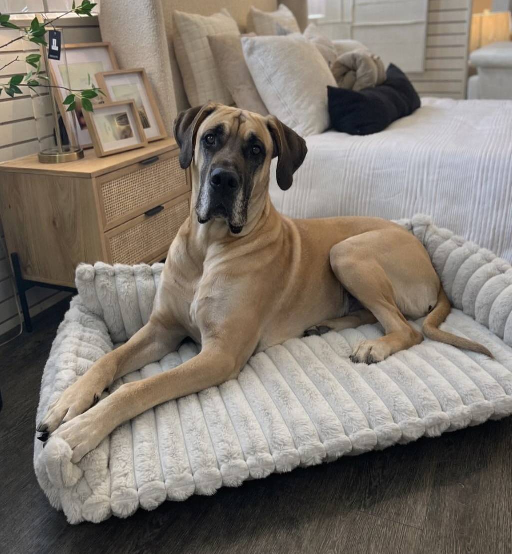 Pupp Furniture by Stylus