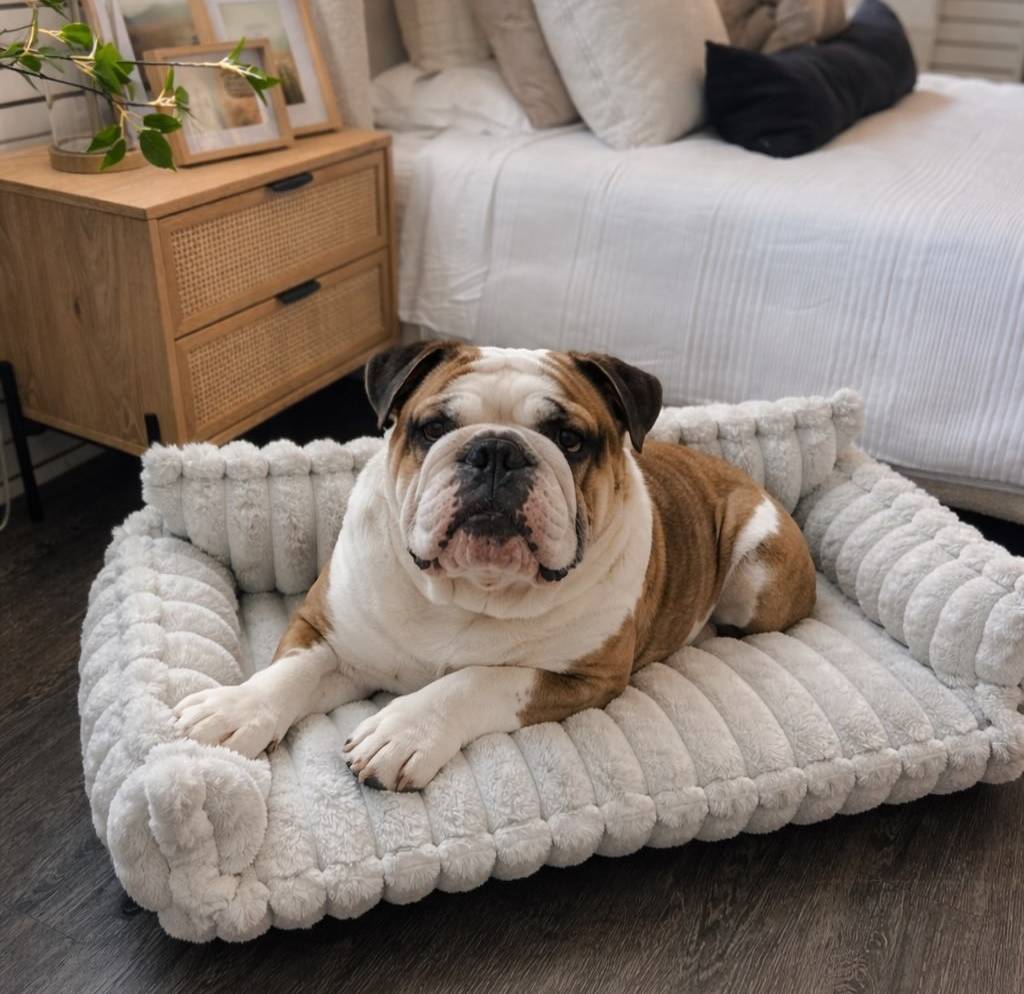 Pupp Furniture by Stylus