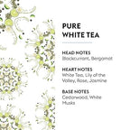 Pure White Tea