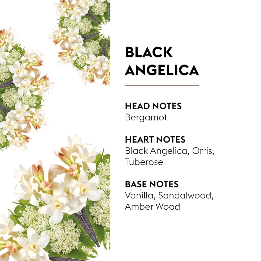 Black Angelica