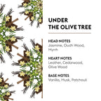 Under The Olive Tree