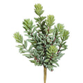 Sedum Succulent Pick