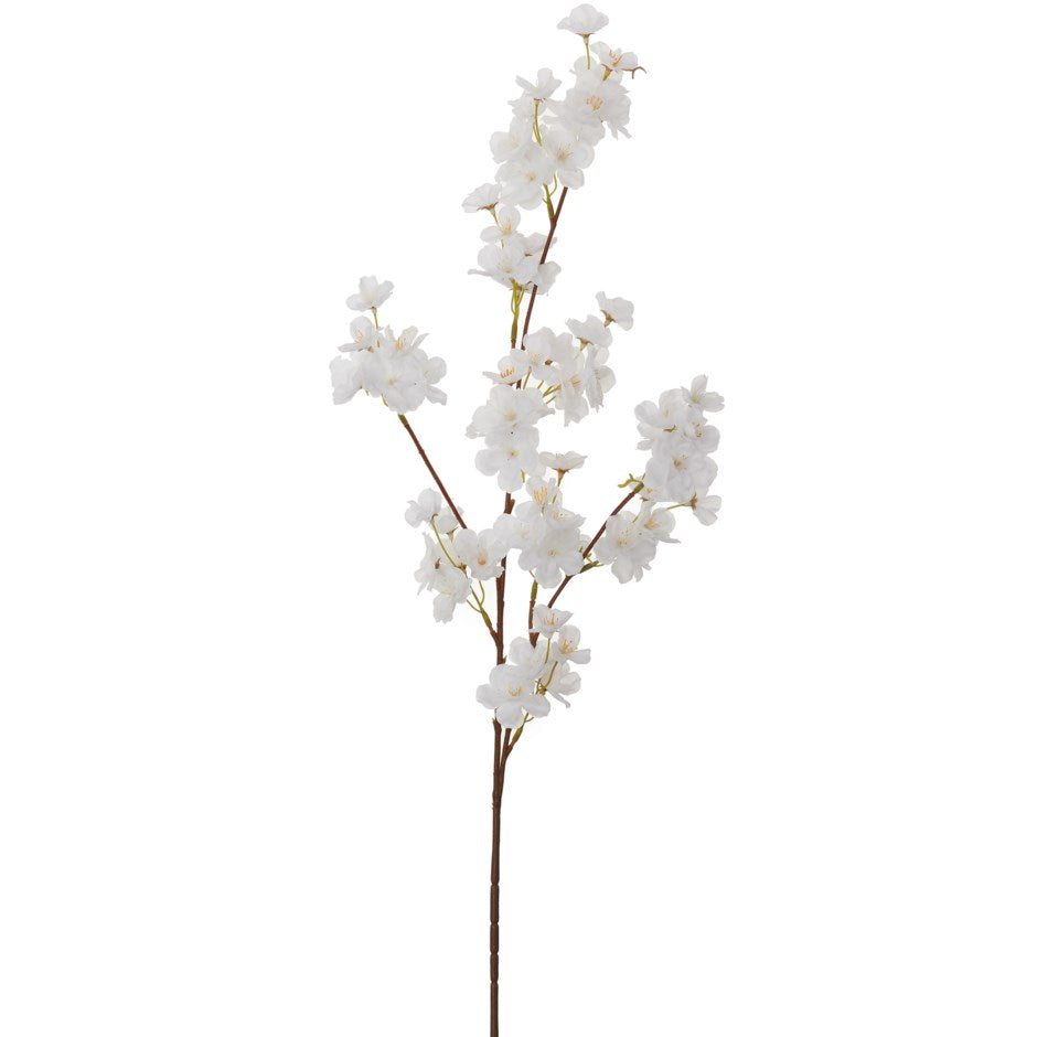 CHERRY BLOSSOM STEM WHITE 6X35H