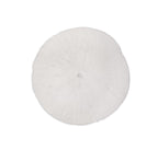 Sand Dollar - M