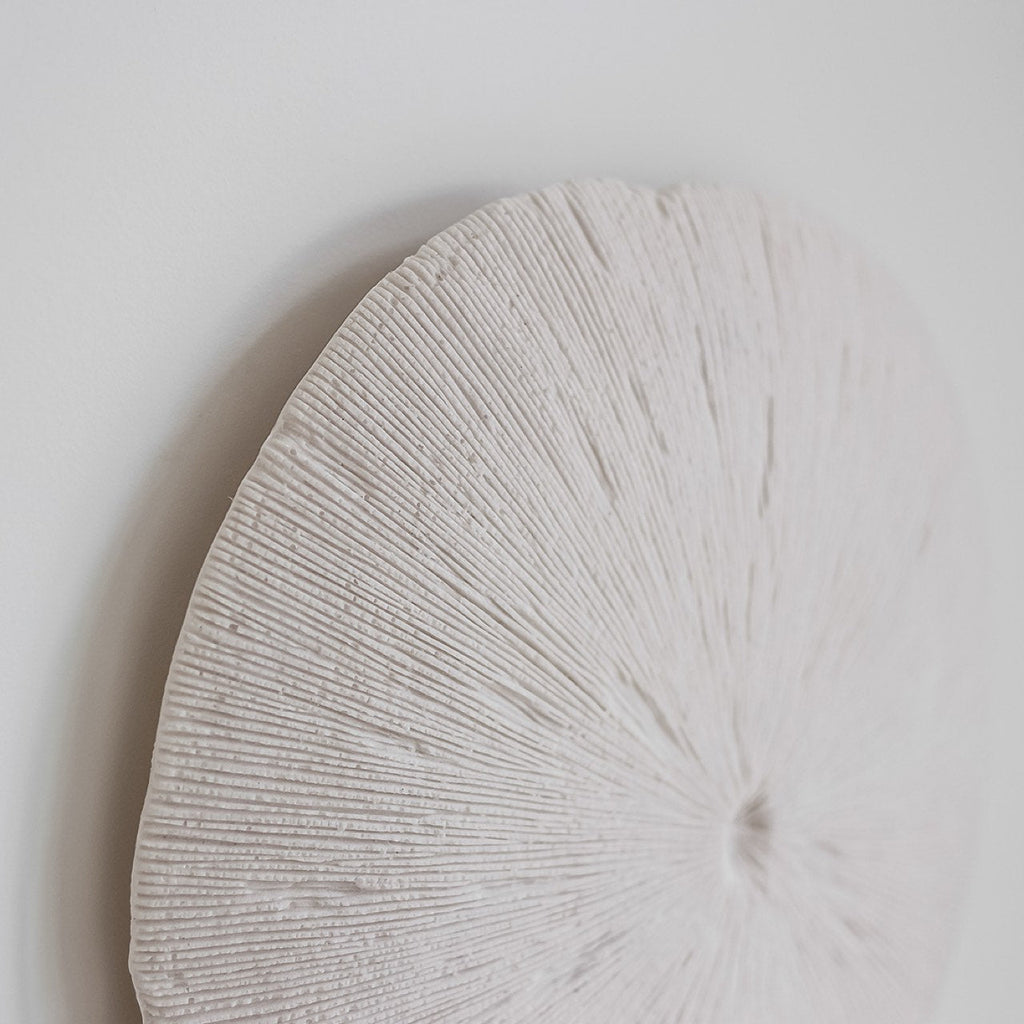 Sand Dollar - M