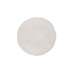 Sand Dollar - S