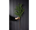 Cypress Leaf Stem Large 42"