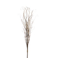 36" Curly Willow Bundle