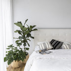 June Queen Bed - Cream