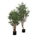 Olive Tree 63"