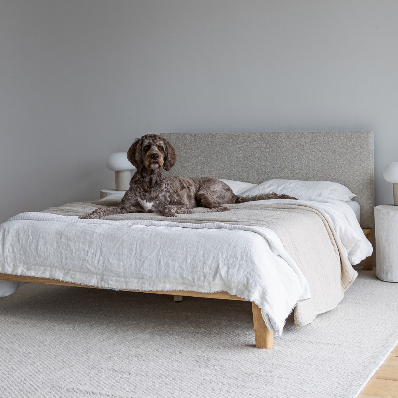 Luna Tool-free Queen Bed - Buff