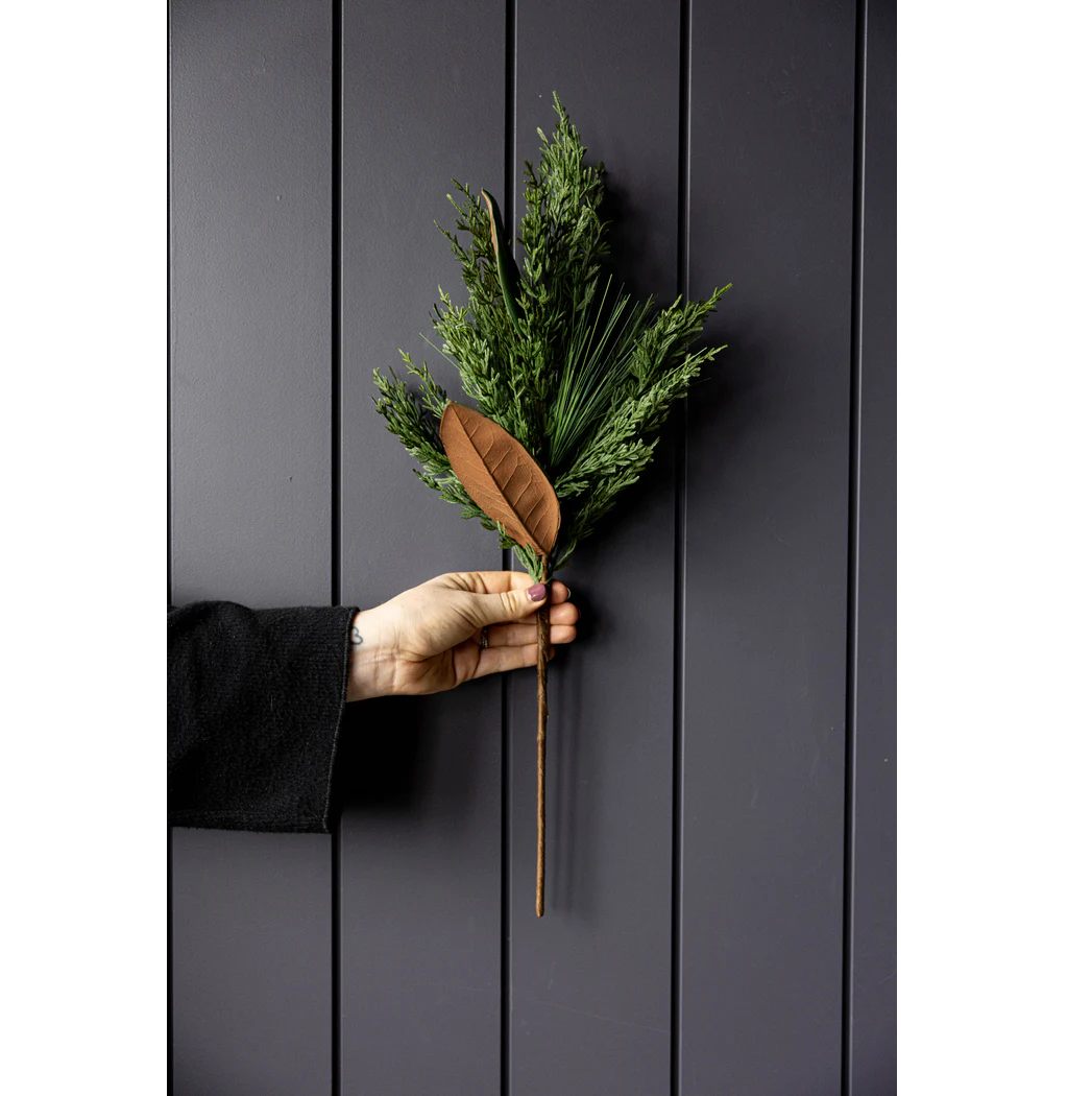 Magnolia Norfolk Cypress Mixed Stem Small 22"