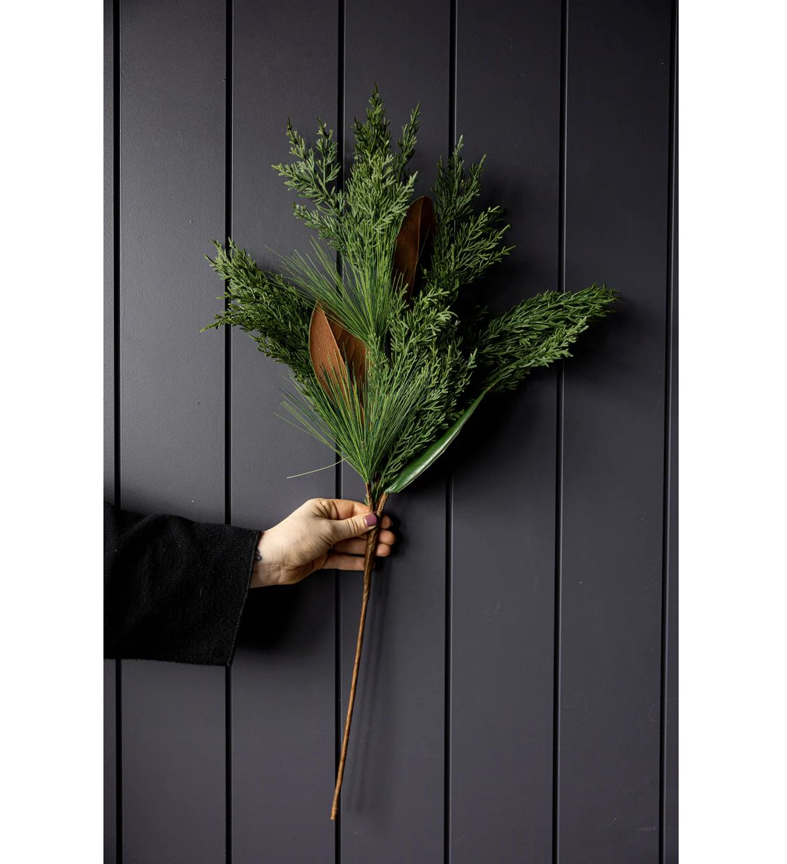 Magnolia Norfolk Cypress Mixed Stem Large 42"