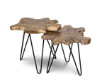 Natura Hairpin Nesting Table - S