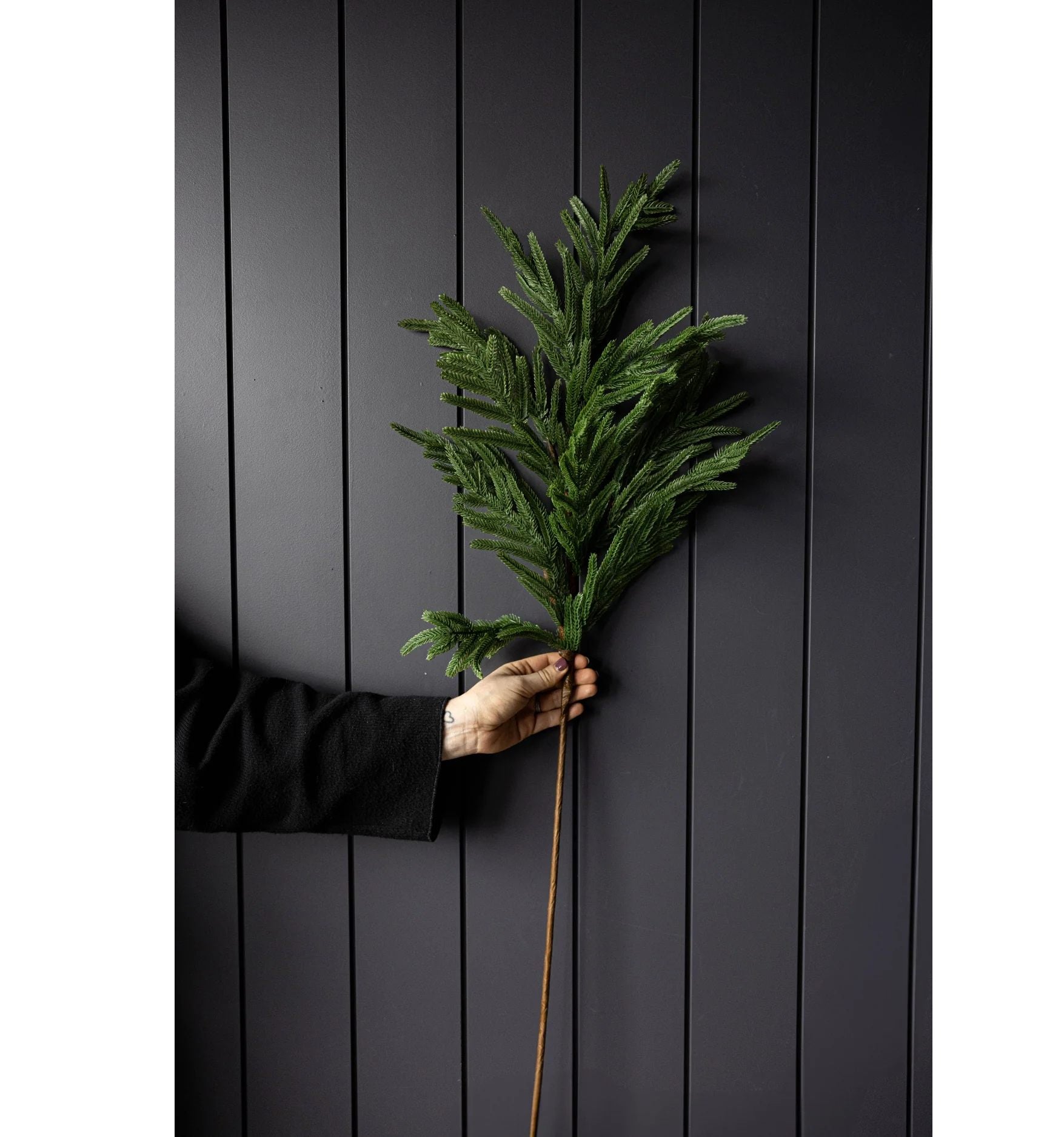 Norfolk Leaf Stem Large 42"