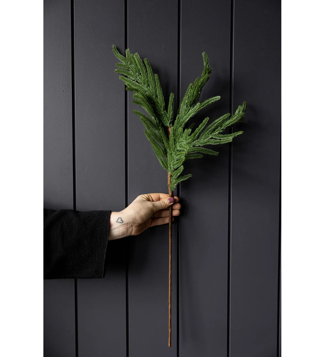 Norfolk Leaf Stem Medium 28"