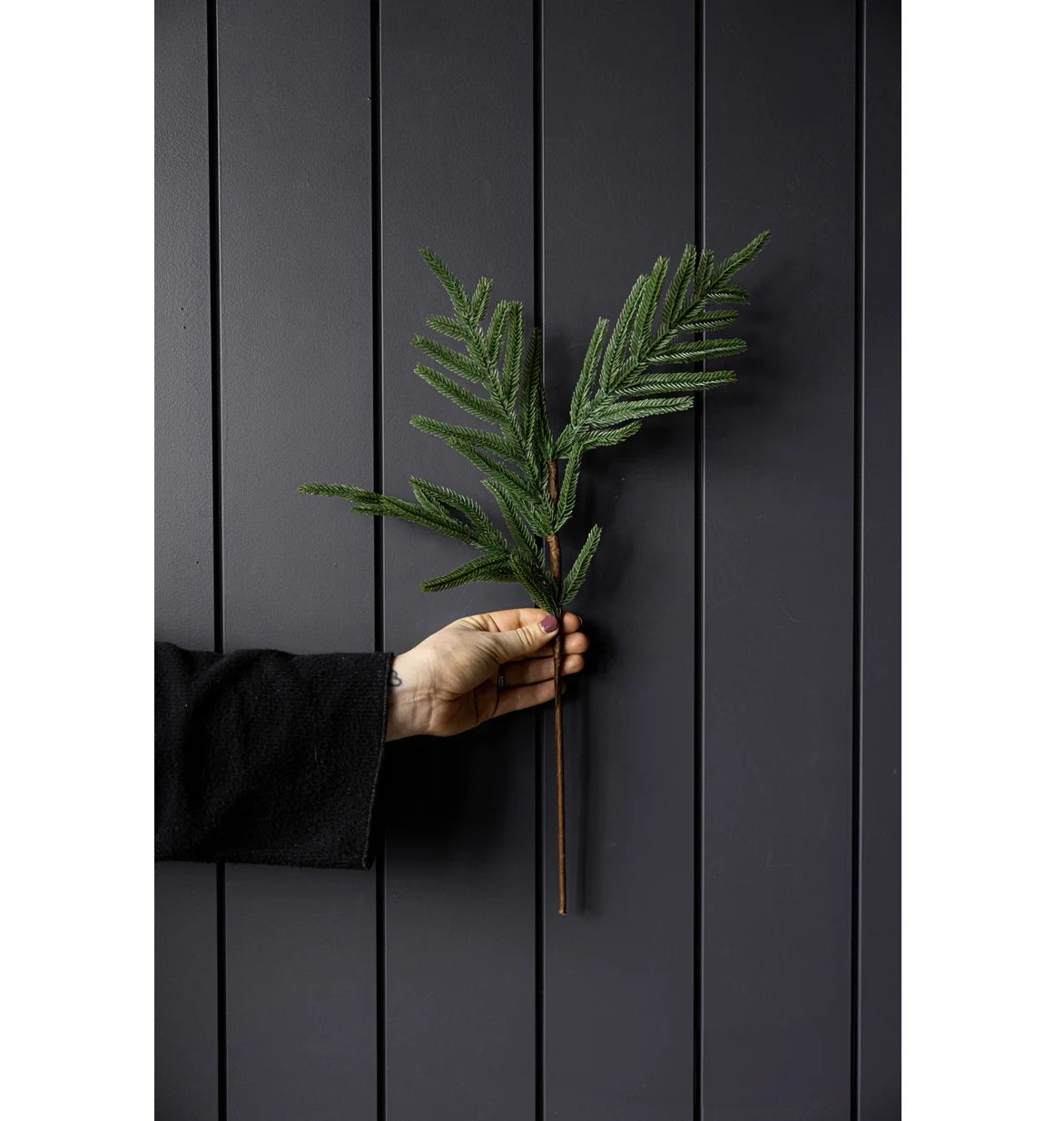 Norfolk Leaf Stem Small 22"