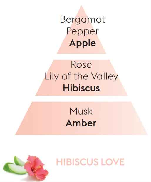 Hibiscus Love