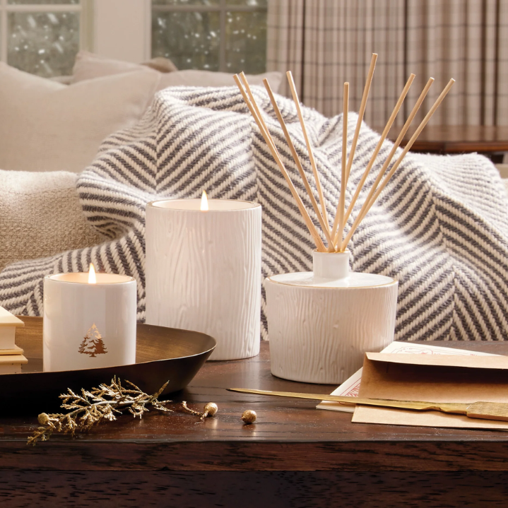 Frasier Fir Ceramic Medium Candle 11oz.