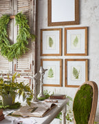 Fern Wreath 36"