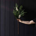 White Plum Frosted Berry Norfolk Cypress Real Touch Stem - Medium