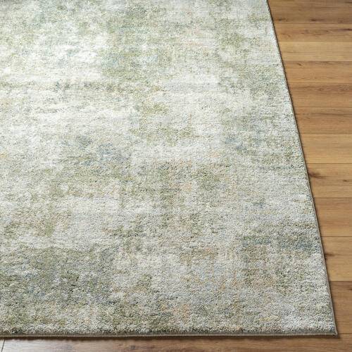 Avellino Machine Woven Area Rug AVL-2336