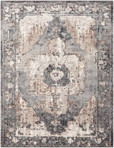 Chelsea Area Rug By Surya CSA-2304